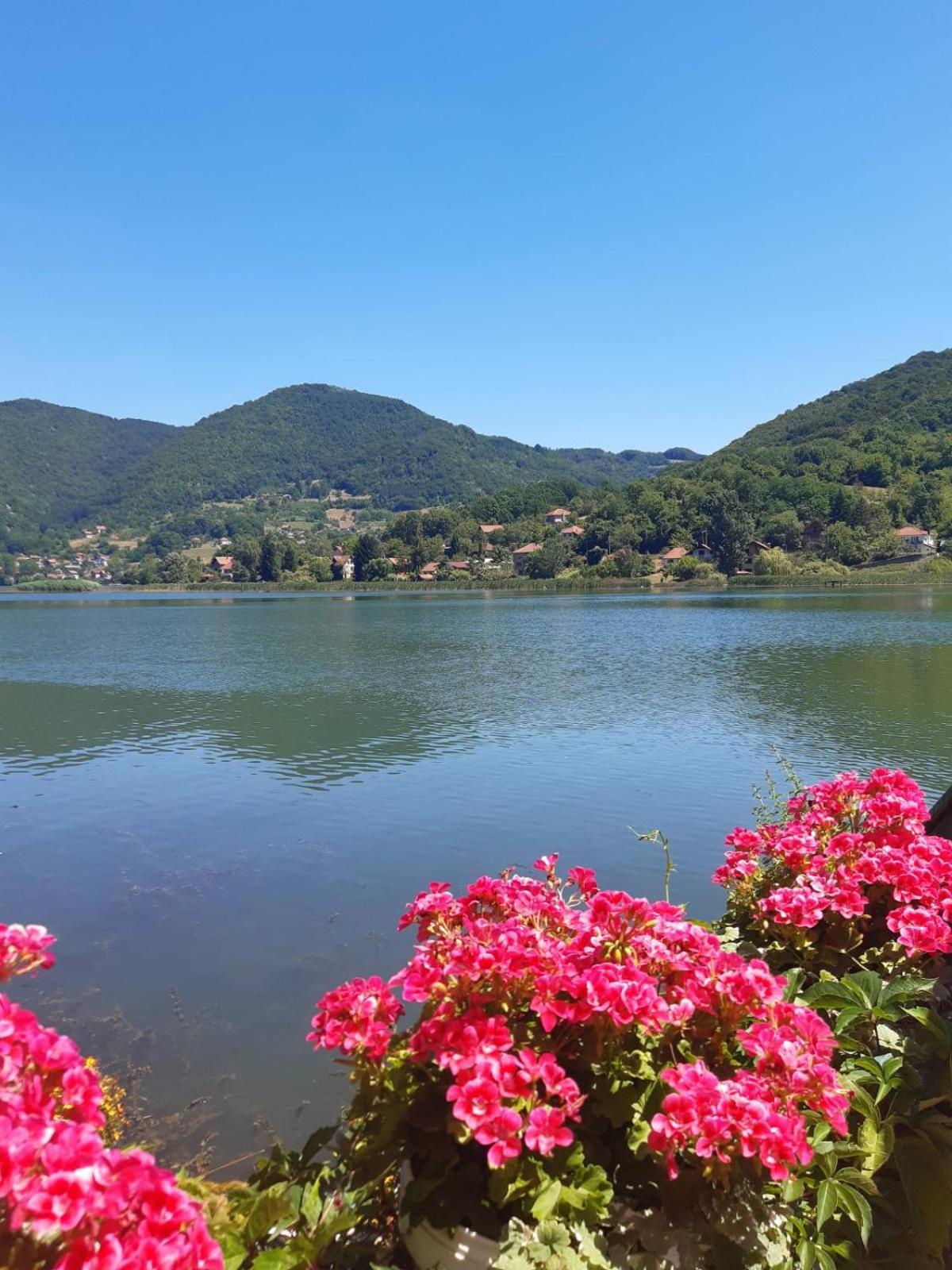 Vila Oaza - Zvornicko Jezero Ζβόρνικ Εξωτερικό φωτογραφία